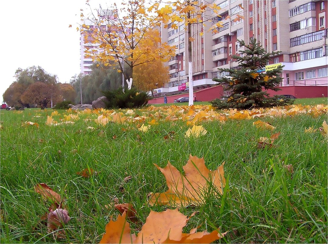 Осень пришла в город - Геннадий Худолеев Худолеев