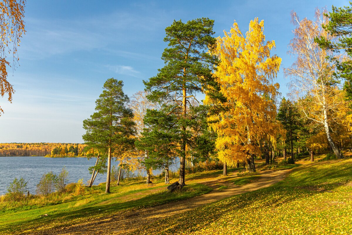 Золотая осень на озере Ижбулат - Михаил Пименов