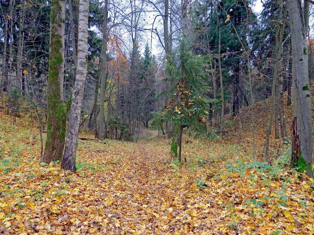 Осень в парке - Вера Щукина