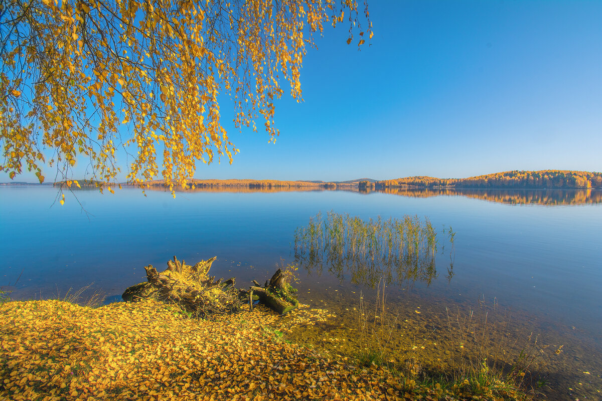 Озеро Ленинградская область осень