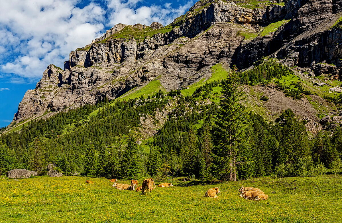 Kandersteg 18 - Arturs Ancans