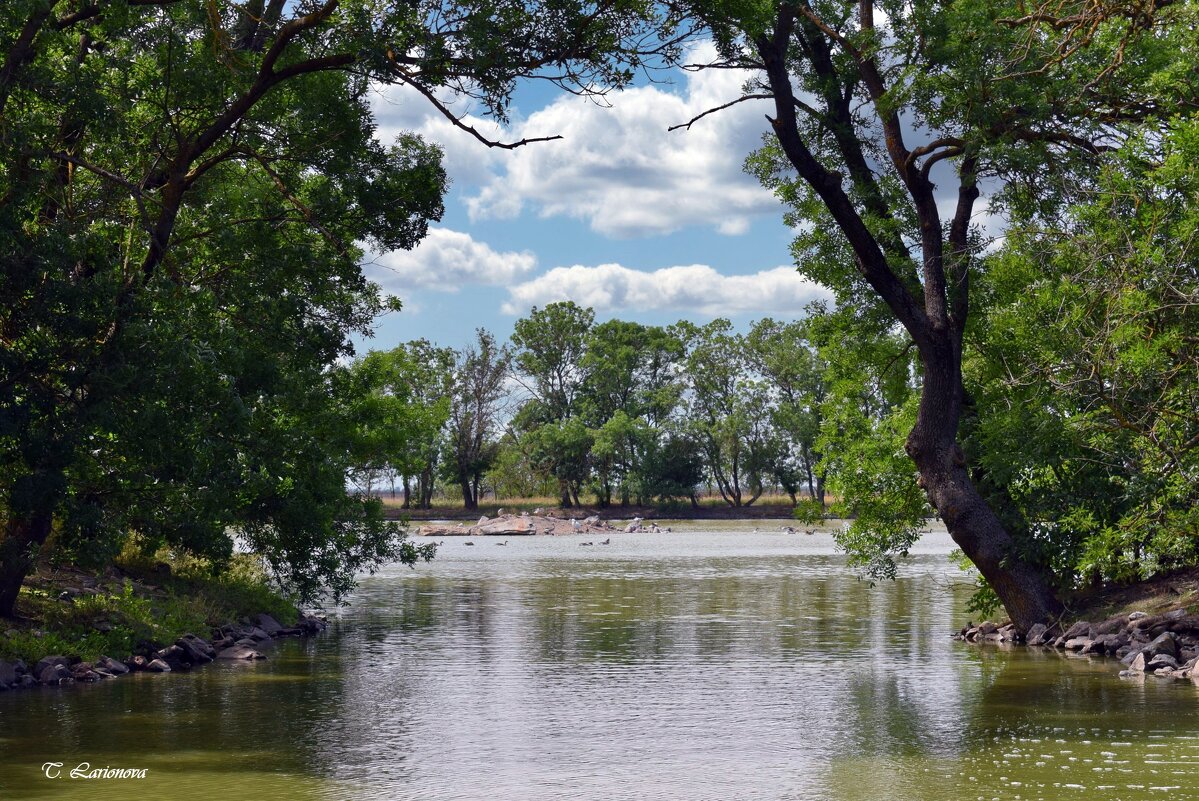 В заповеднике Аскания-Нова - Татьяна Ларионова