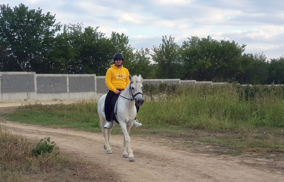 Рыцарь на белом коне - Наталья (D.Nat@lia)