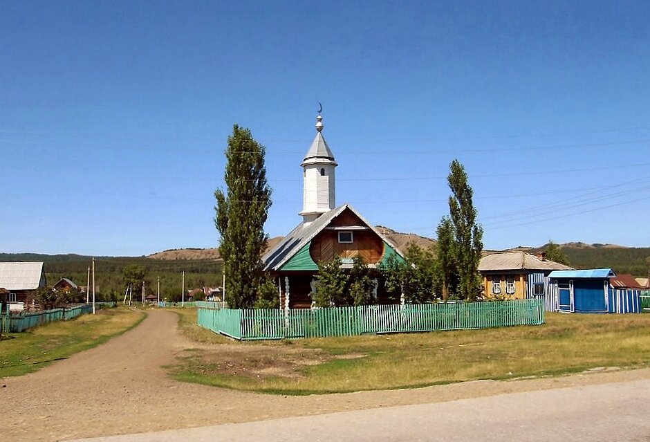 Деревенская мечеть - Вера Щукина