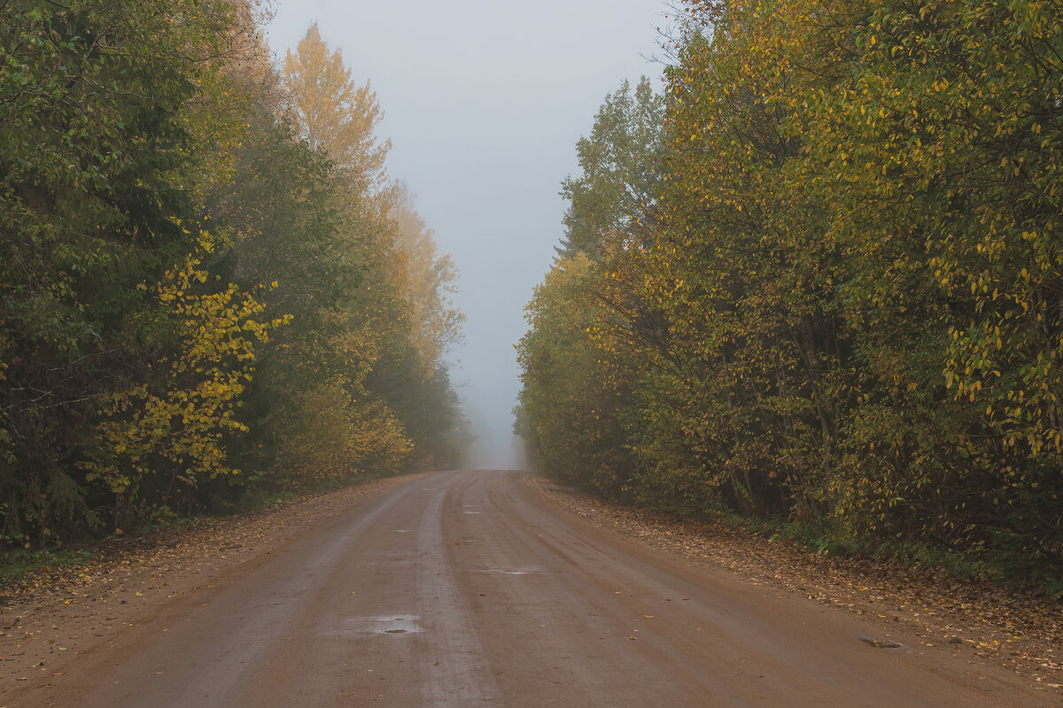 Осень - Виктор Желенговский
