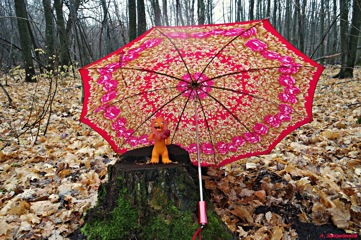 День разноцветных зонтов! :-) - Андрей Заломленков