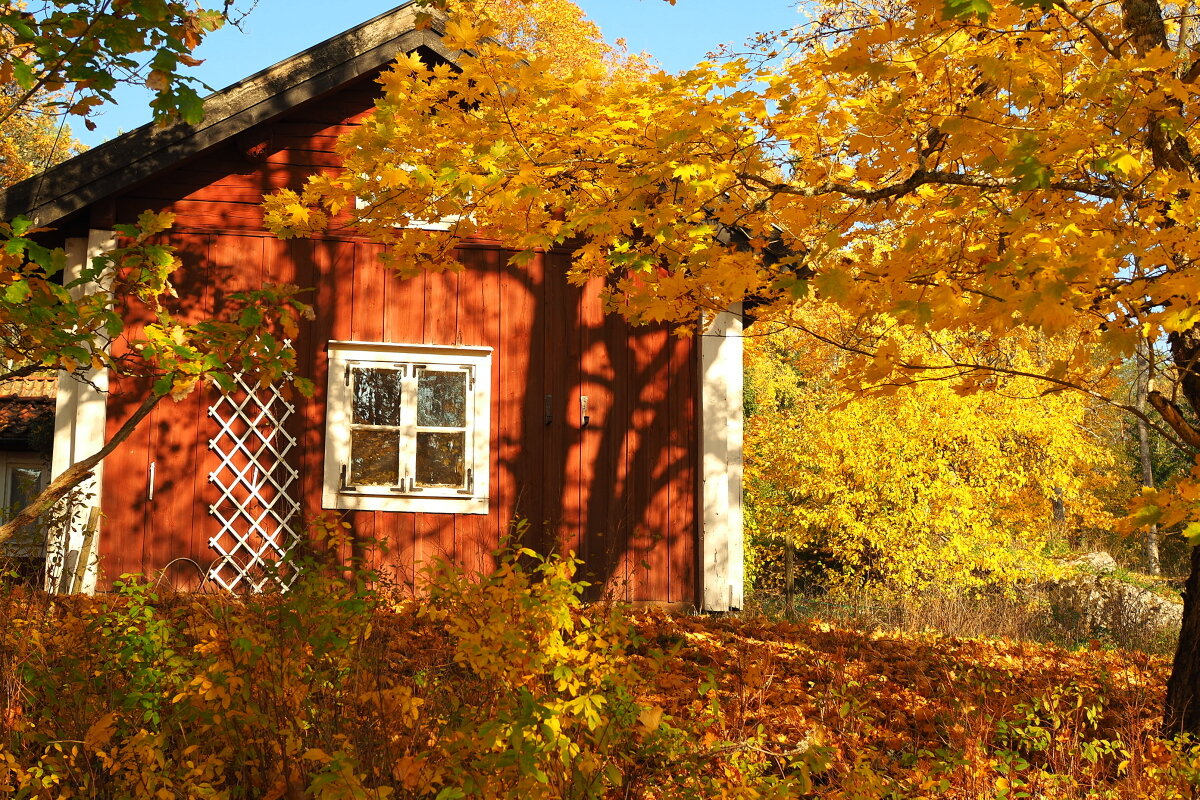 Октябрь в Швеции - wea *