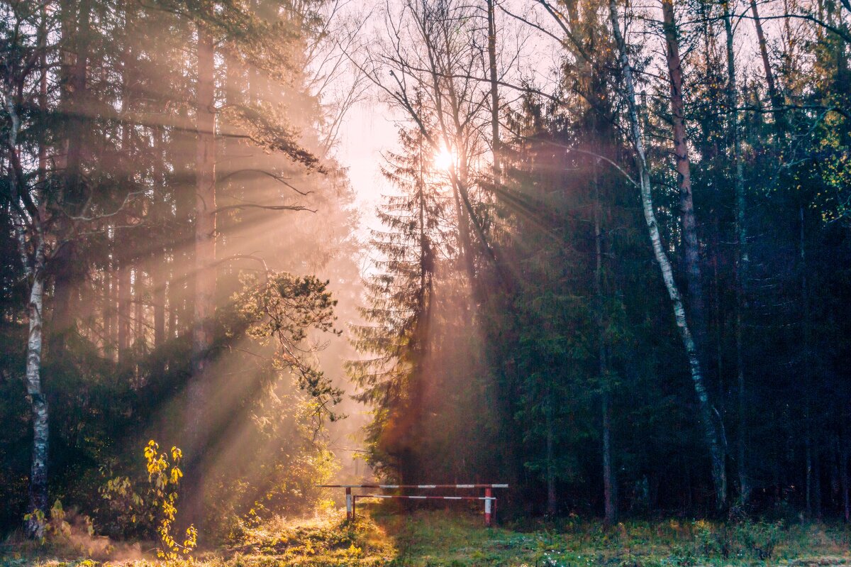 Солнечное утро октября - Валерий Иванович