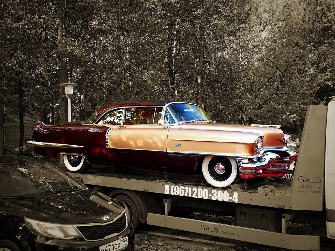 Cadillac Coupe Deville 1955 года. - Zeitgeist Owl