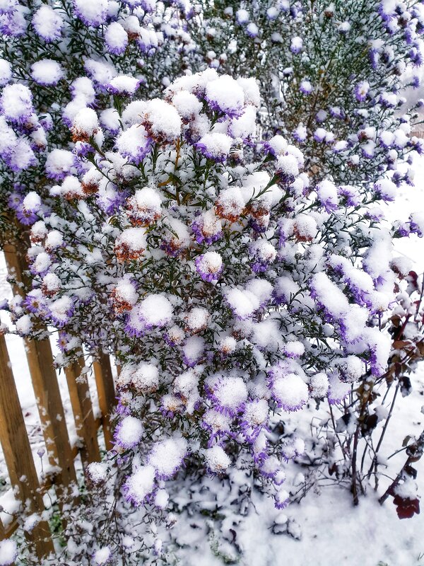 Снег, снежок, снежище... - Дмитрий 