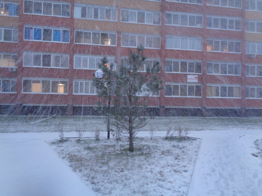Вот такой у нас снежок сегодня! - Андрей Макурин
