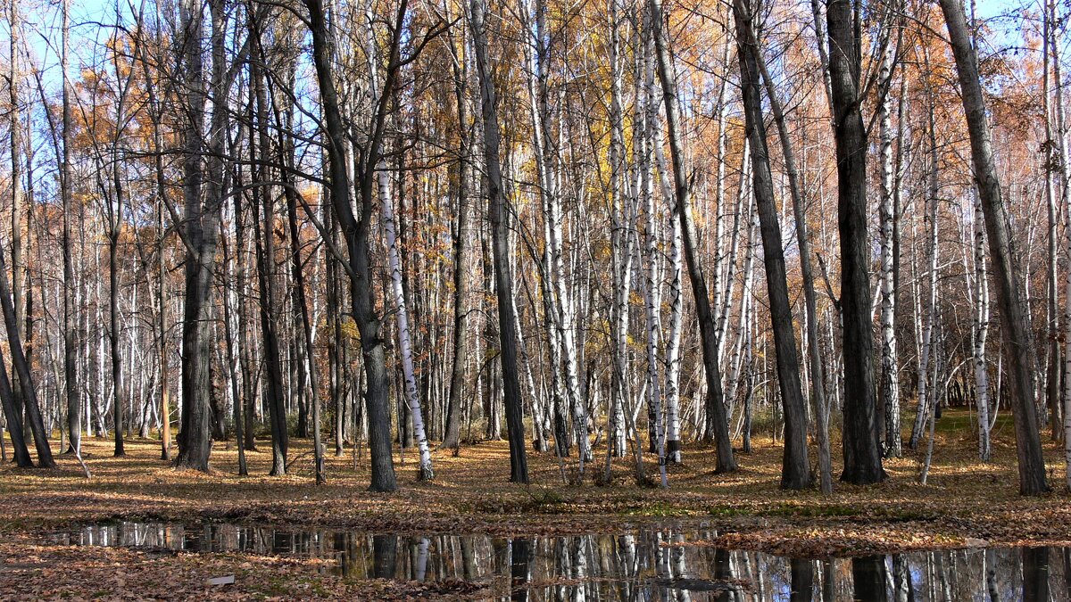 Осень - Геннадий. Э.