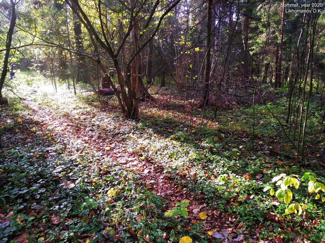 Природа, осень, год 2020 - Olegus79 Лихоманов