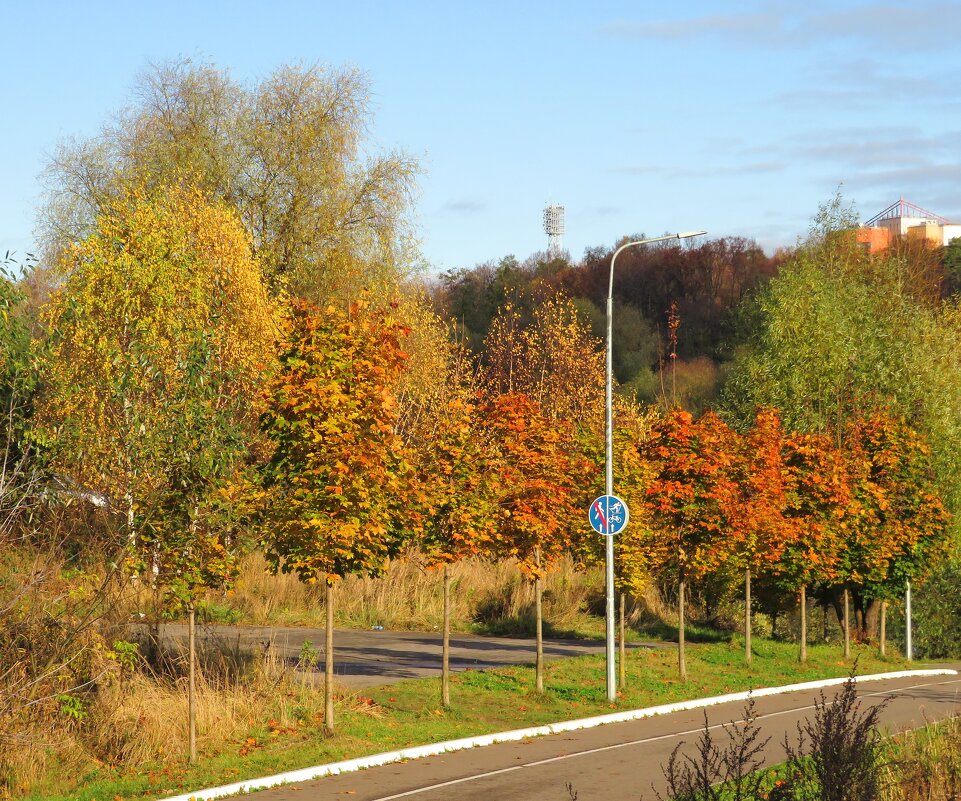 Дорожка в парке - Андрей Снегерёв