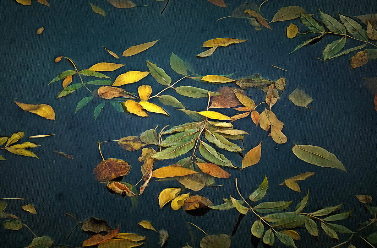 Листья на воде - Алексей Виноградов