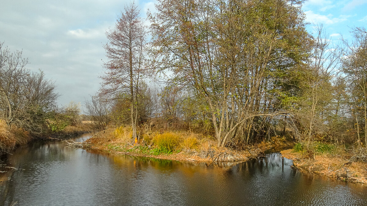 ** - Роман Ч .