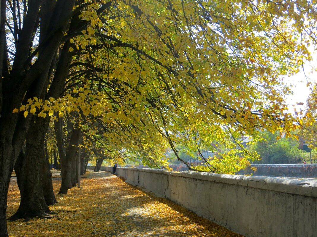 В старом парке царствовала осень, Красила деревья и кусты... - Татьяна Львова 