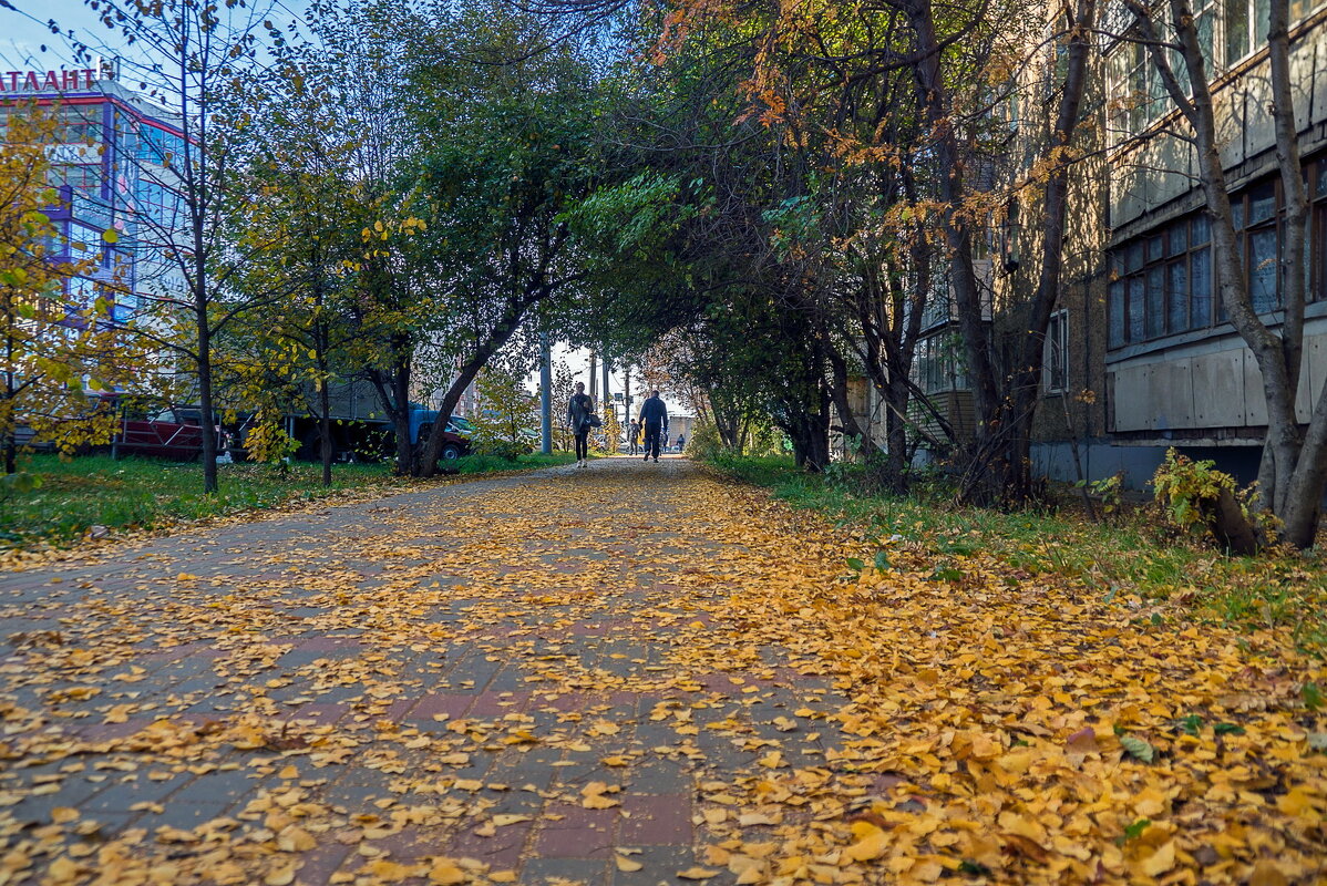 Осень в городе - gribushko грибушко Николай