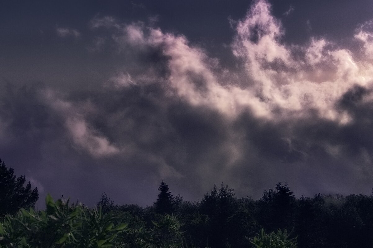 Облако над лесом - Роман Попов