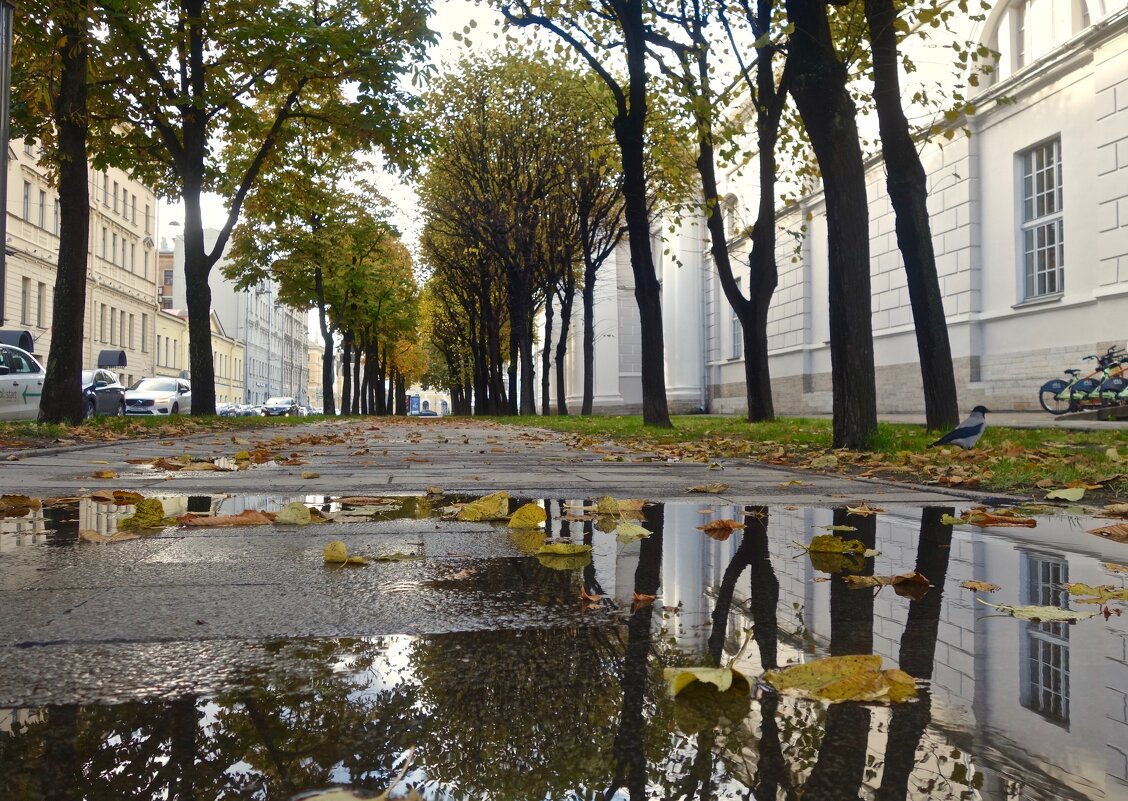 в городе осень - Елена 