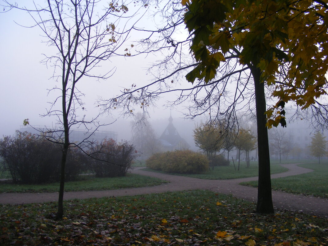 Осенний туман . - Татьяна 