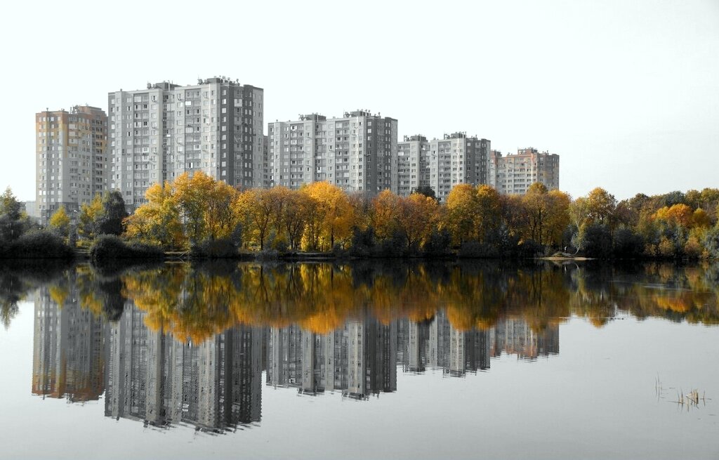 Осень. Симметрия - Сергей Кузнецов