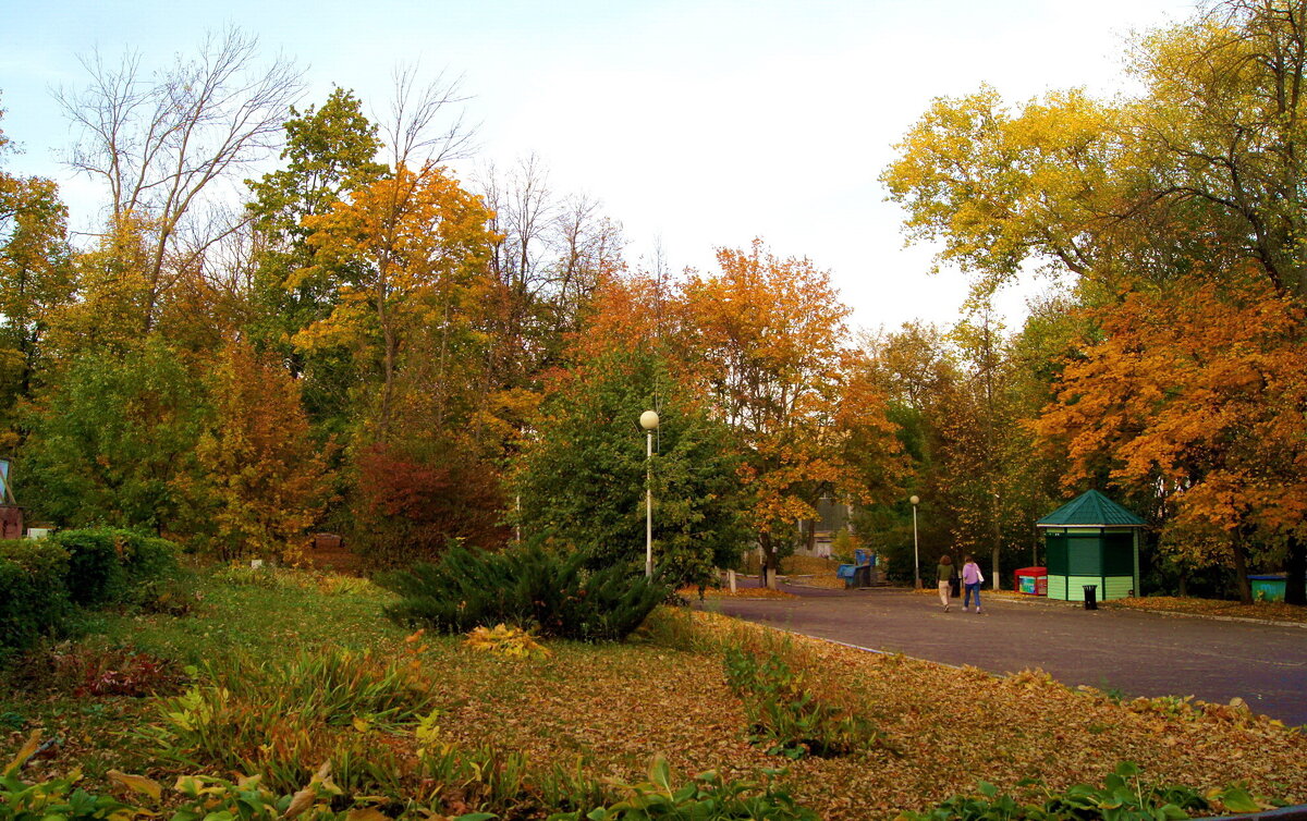 Осень в моём городе - Елена Кирьянова