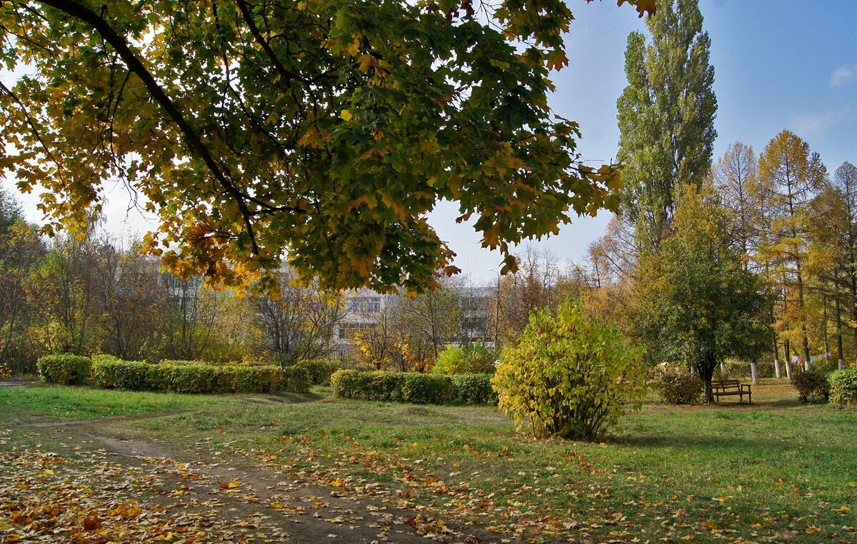 Осень в моём городе - Елена Кирьянова