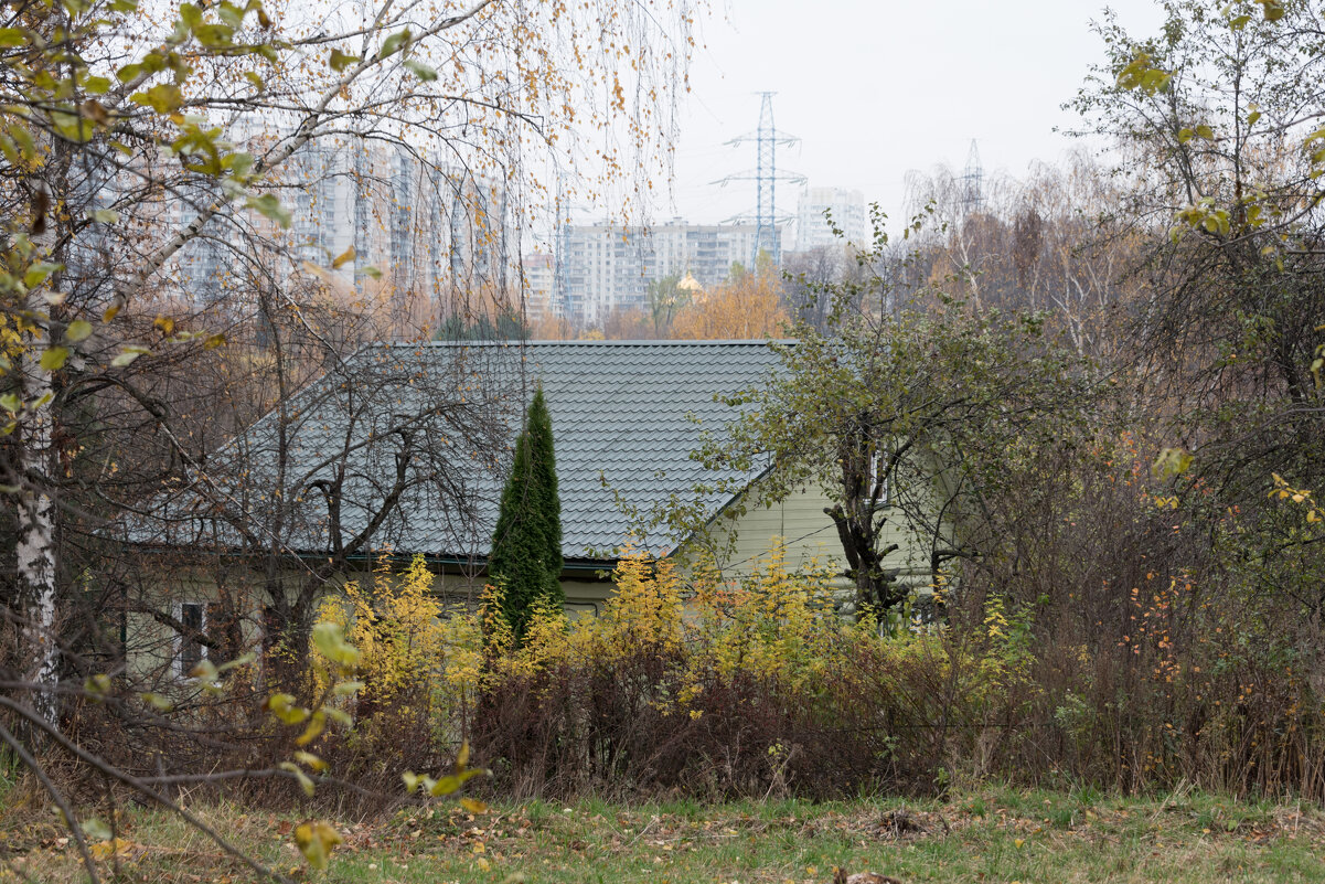 *** - Владимир Безбородов