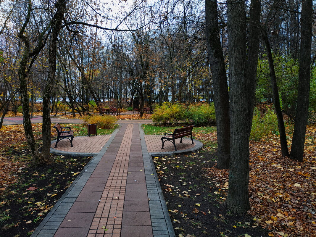 Ноябрь в городе - Андрей Лукьянов