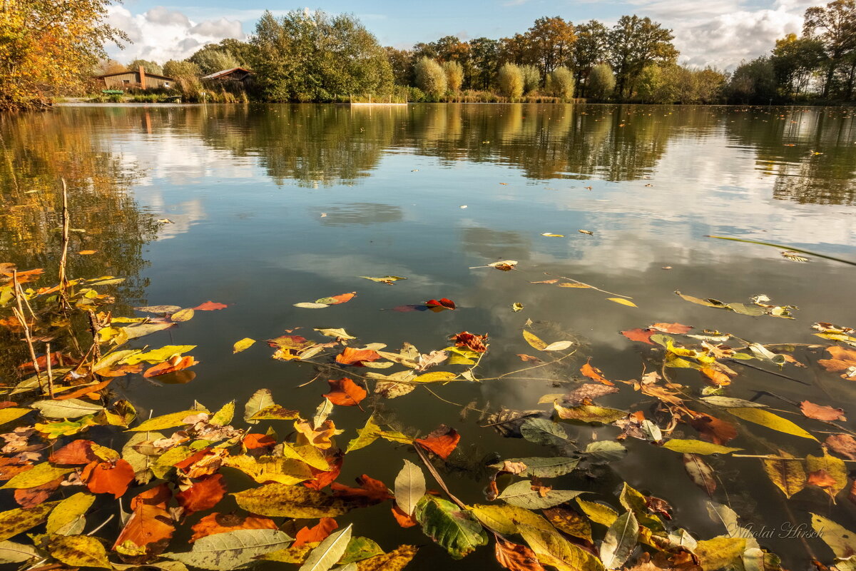 Осенние листья в пруду - Николай Гирш
