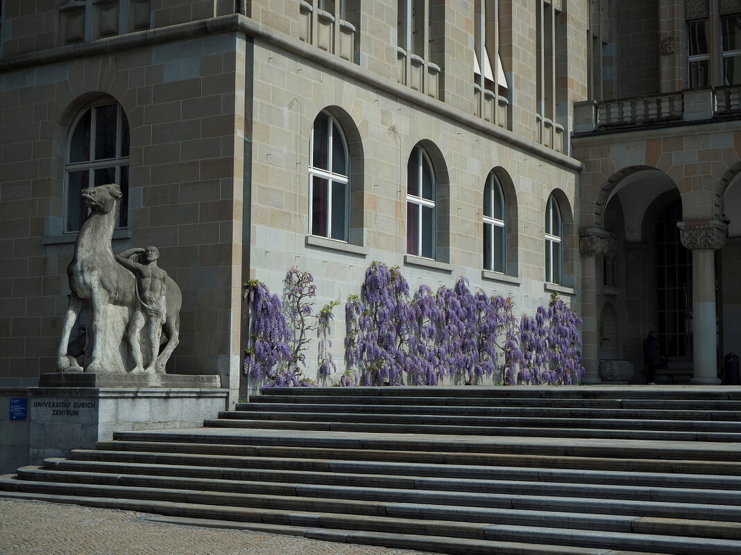 Цюрихский университет Швейцария - wea *