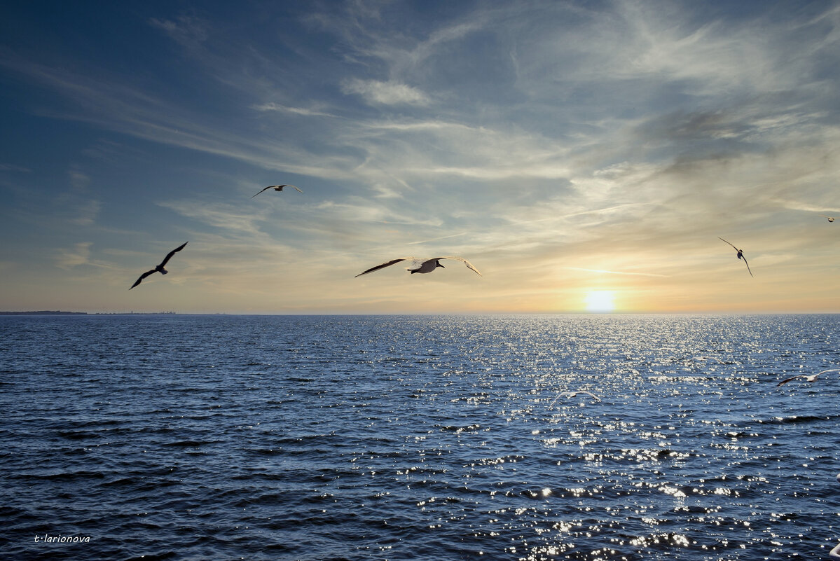 Чайки над морем - Татьяна Ларионова
