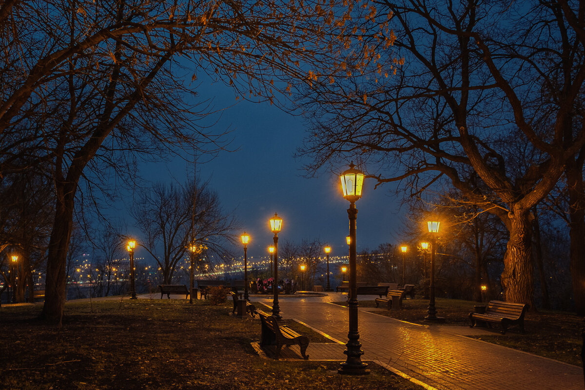 Пусто в парке ночном - Сергей Шатохин 
