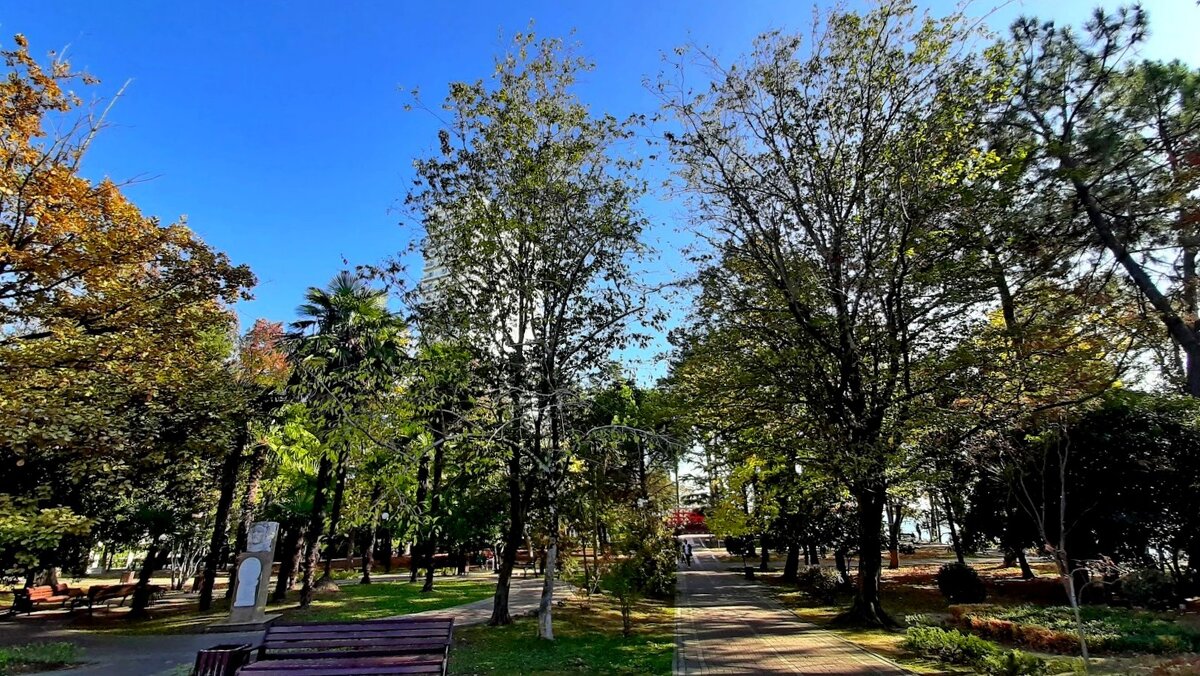 Парк имени М. В. Фрунзе - Tata Wolf