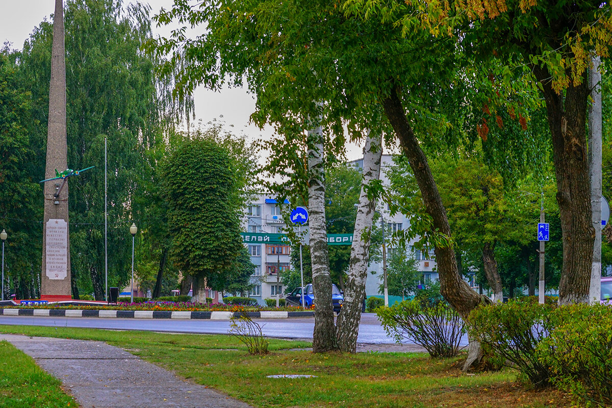 Памятник авиаторам Смоленской дивизии в городе Быхов, Беларусь - Игорь Сикорский