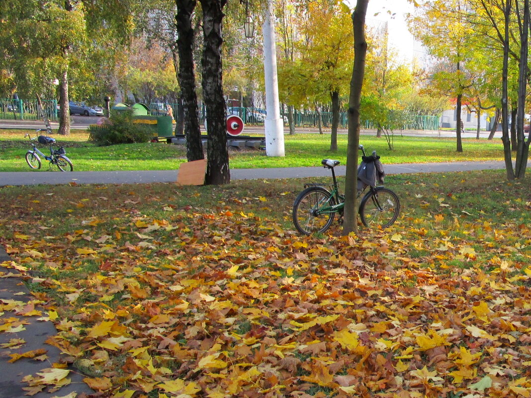 Городские зарисовки - Ольга Довженко