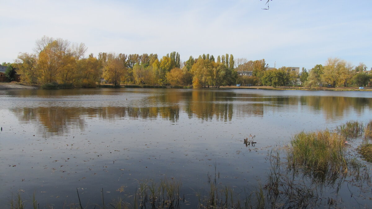 городской пляж - Елена Шаламова