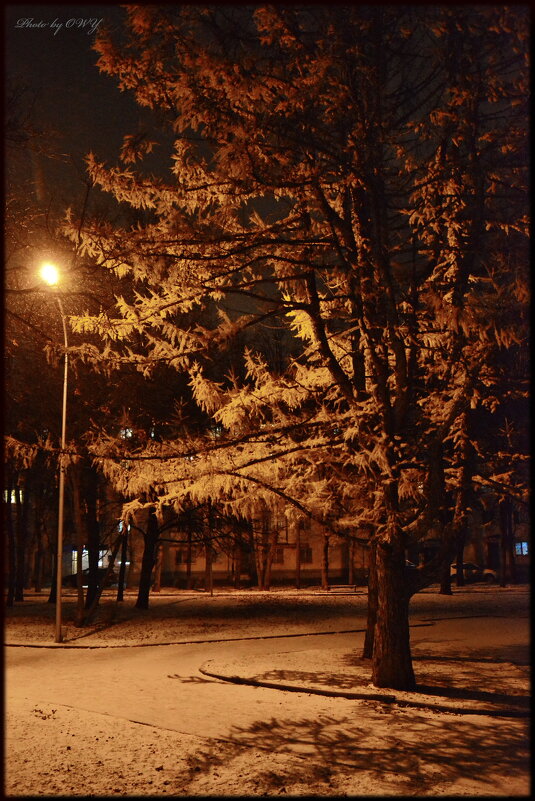 Дело выло вечером ...) Чебоксары с первым снегом. - Юрий Ефимов