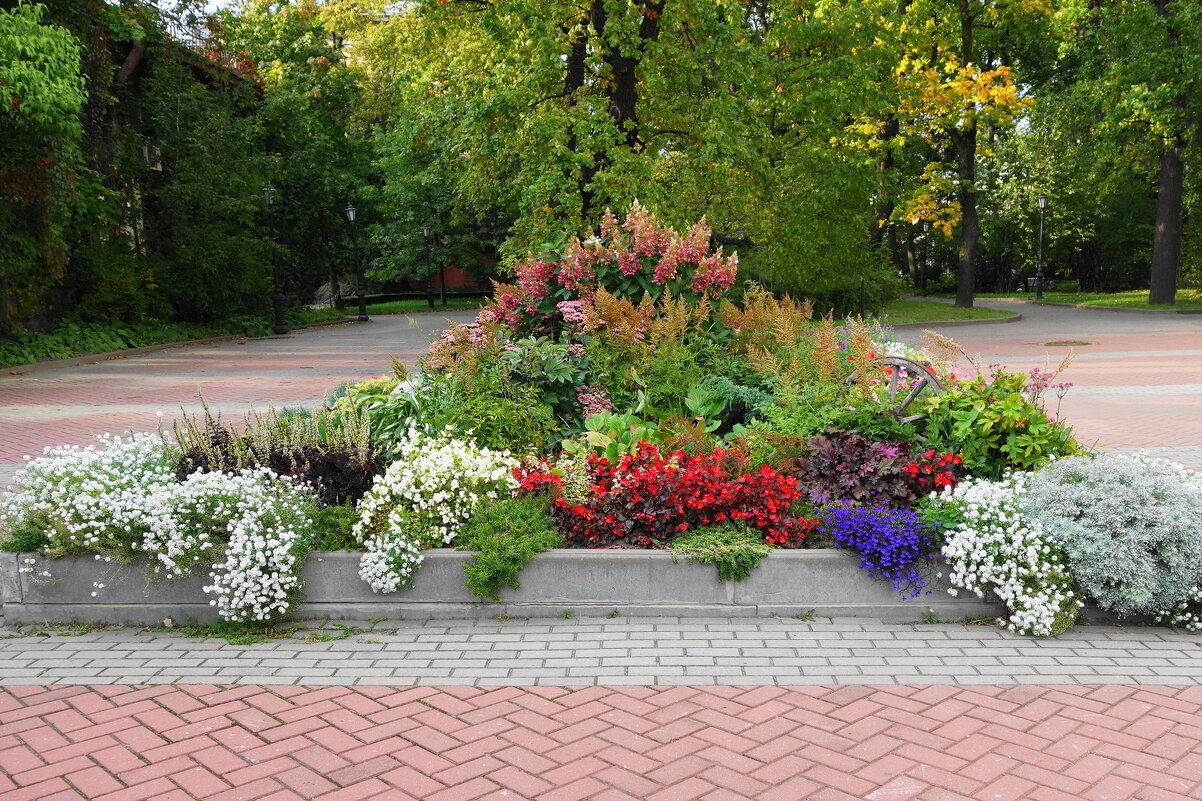 Цветы в Измайловском саду - Маргарита Батырева