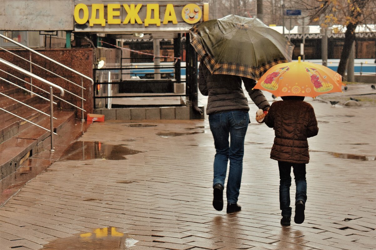 Одежда ноября - зонт. - Татьяна Помогалова