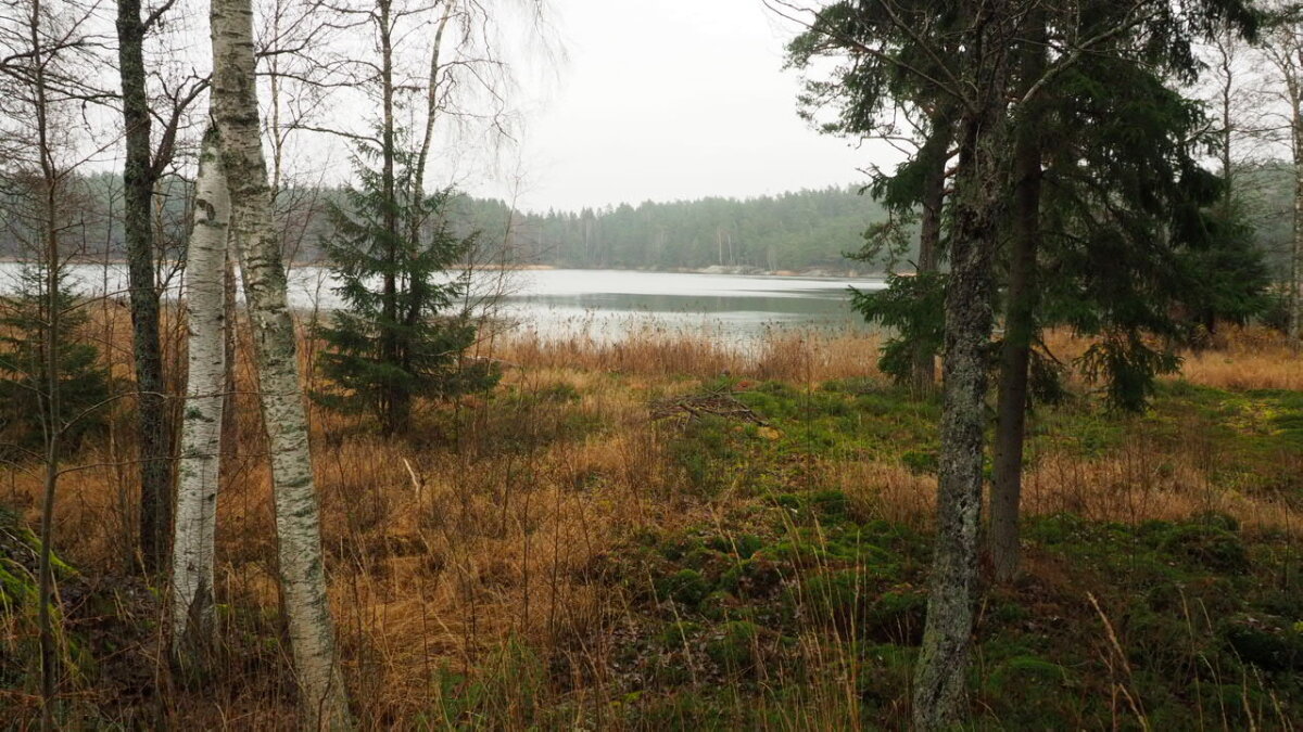 Середина ноября в Швеции - wea *