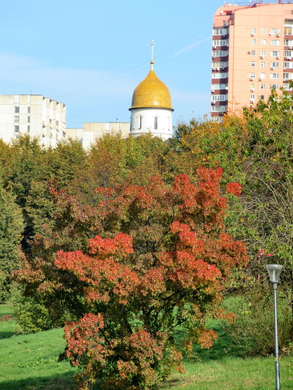 Осенний пейзаж с храмом - Александр Чеботарь