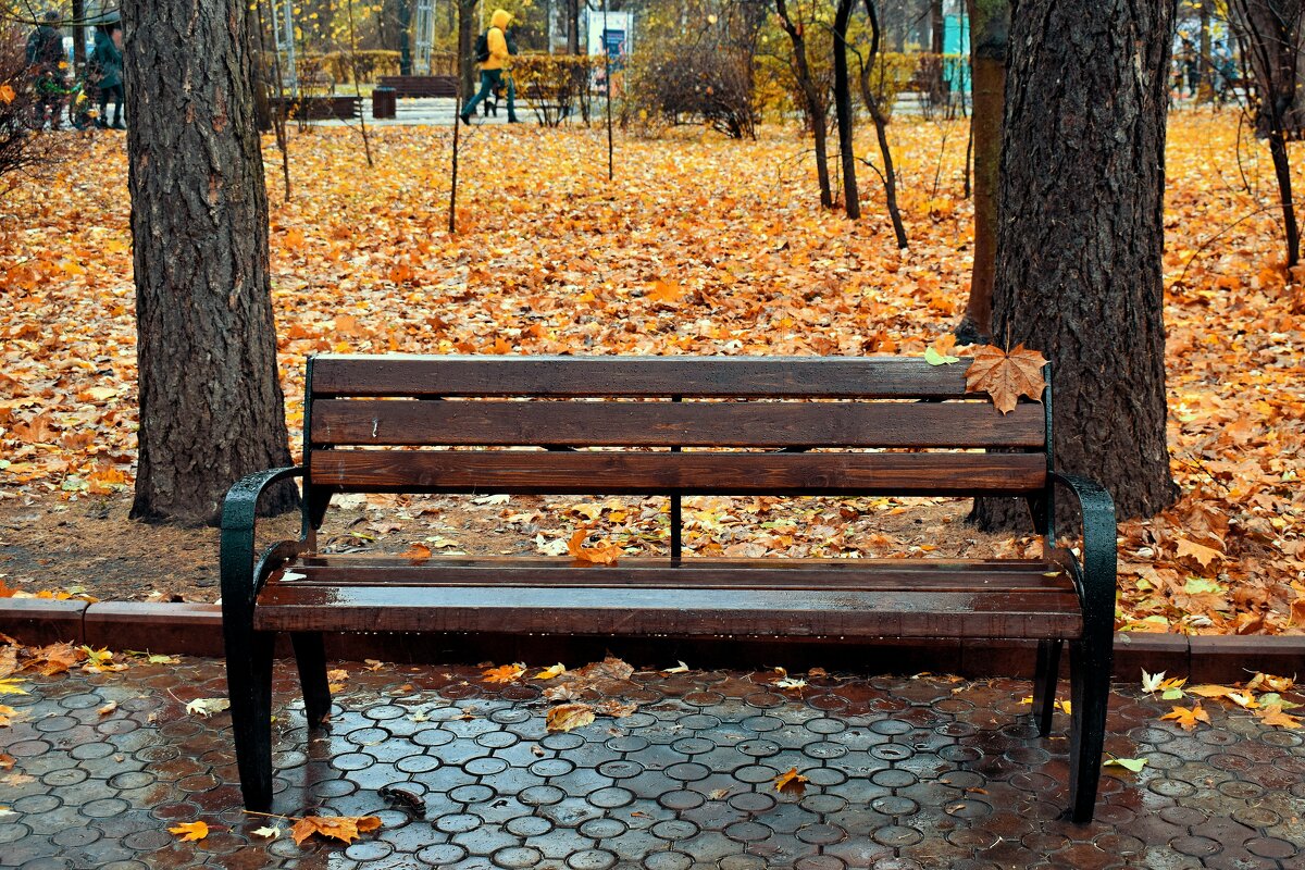 Осенний парк, промокшая скамейка. - Татьяна Помогалова