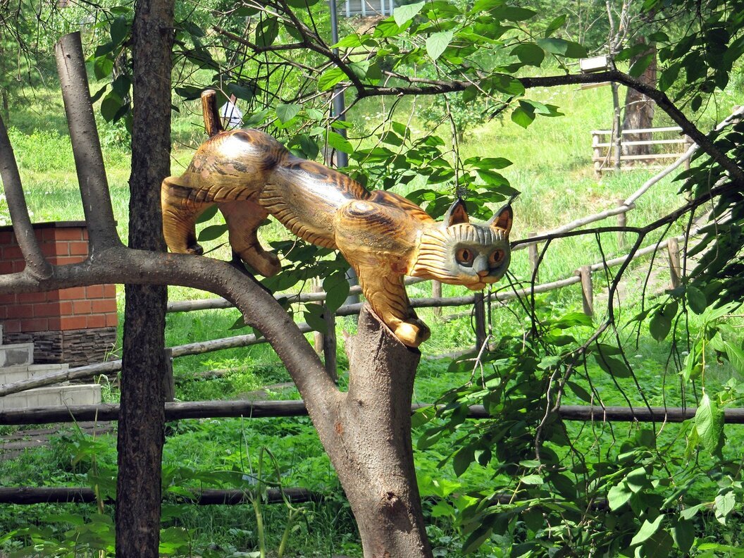 Котик в парке - Вера Щукина