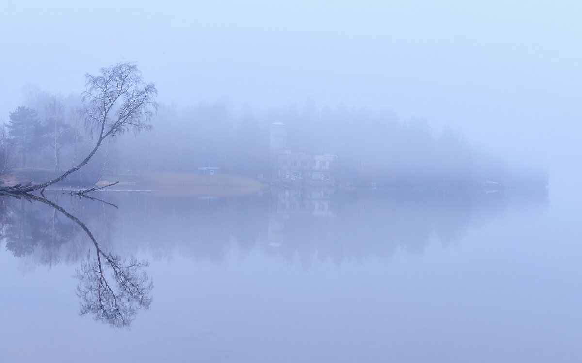 Туман над озером - Алексей Румянцев