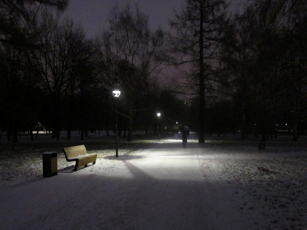 Вечером в парке - Ольга Довженко