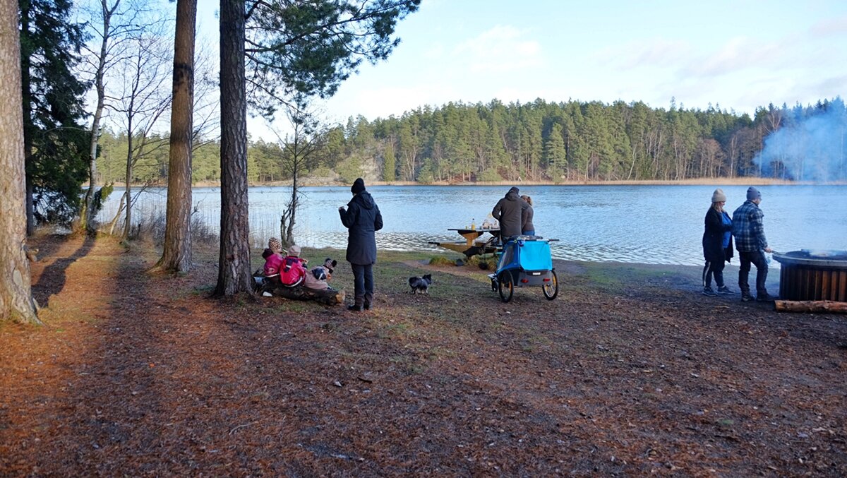 Пикник на природе в Швеции - wea *