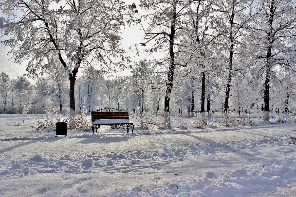 ***Пушистым снегом замело дороги,засыпало вчерашние следы...... - Восковых Анна Васильевна 