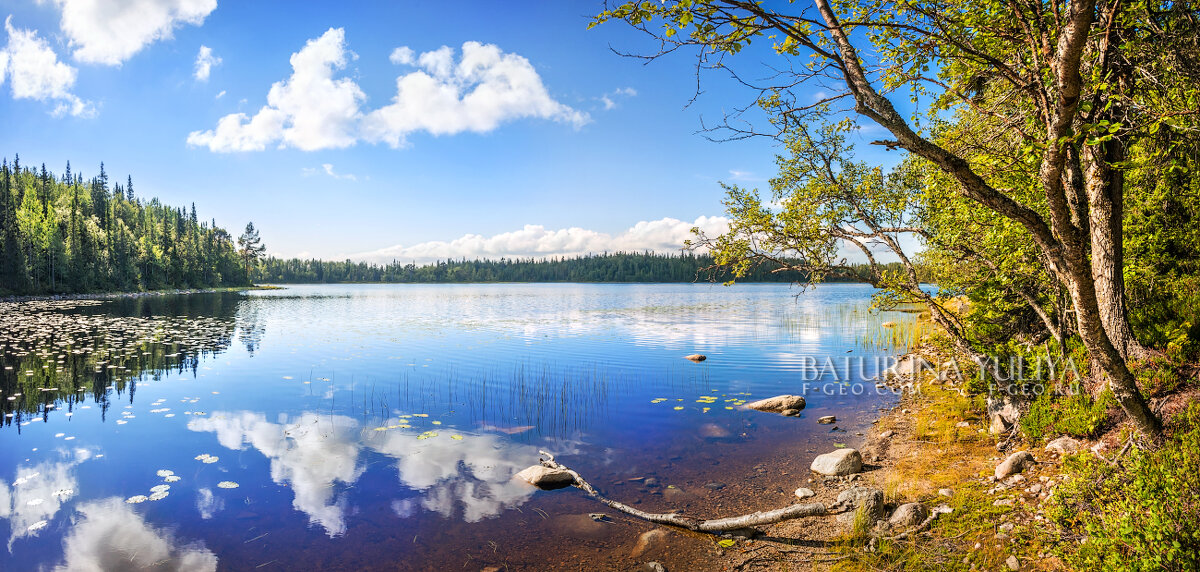 Панорама озера - Юлия Батурина